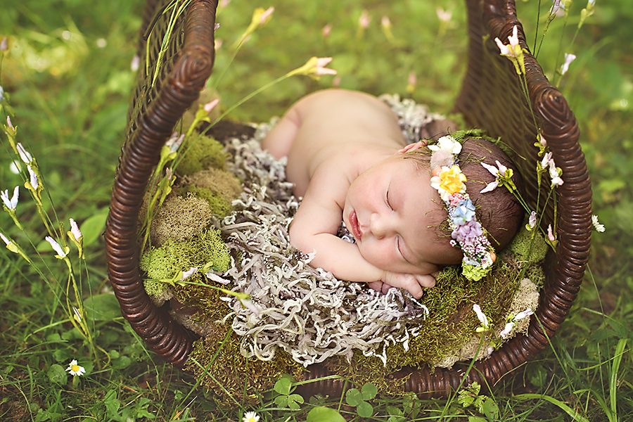Ithaca Newborn Photographer-4